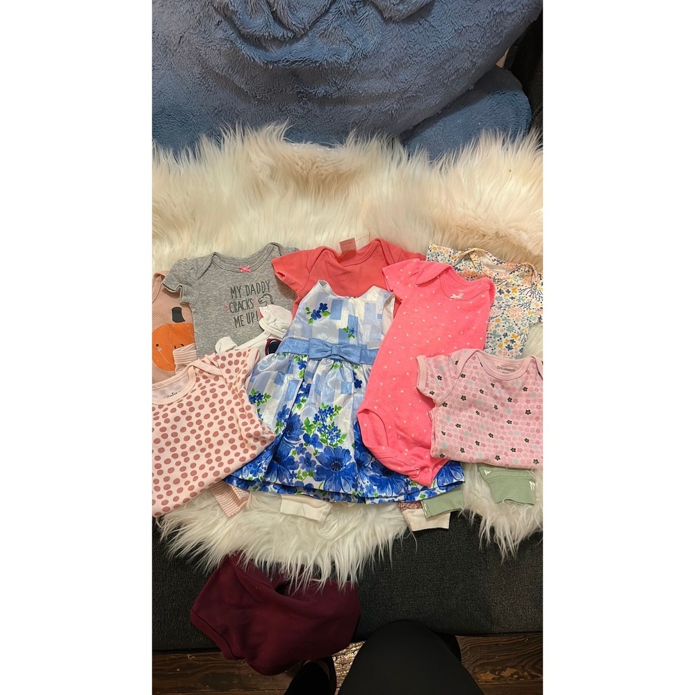 Mixed Brand Baby Girl Clothing Bundle 3-6M Pink Blue Floral Dress Bodysuits LOT